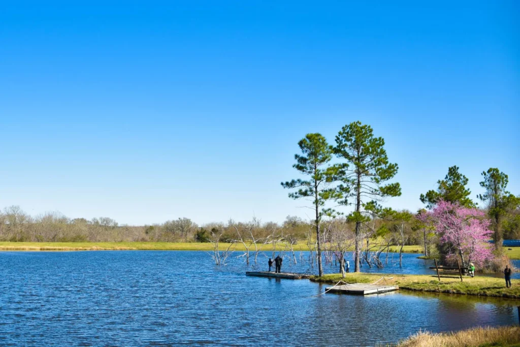 bovay scout ranch in texas