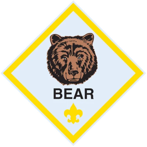 cub scouts in missouri city TX lions den