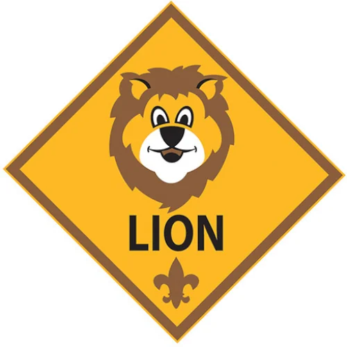 cub scouts in missouri city TX lions den