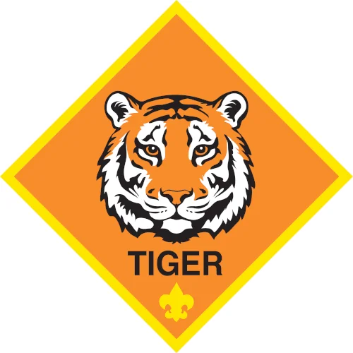 cub scouts in missouri city TX lions den