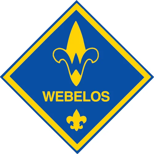 cub scouts in missouri city TX lions den