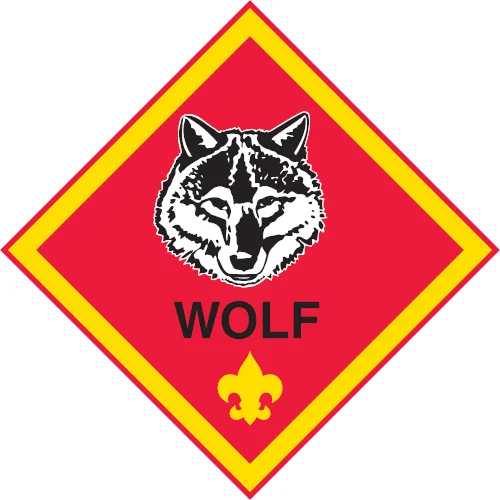 cub scouts in missouri city TX lions den