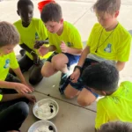Missouri city tx cub scouts day camp